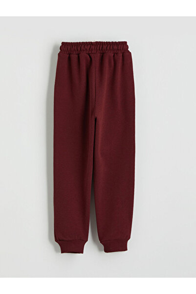 LC Waikiki Dinosaur Printed Boy