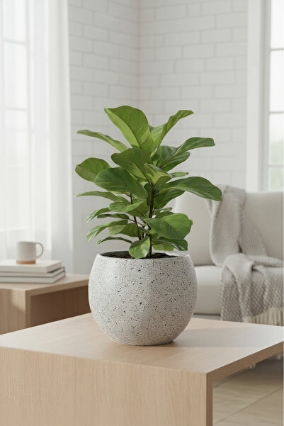 Bliss Dekoratif Modern Küre Saksı Tasarım 7,5 Litre Beton Görünümlü Plastik Çiçek Saksısı