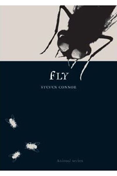 Reaktion Books Fly Yabancı Dil Hobi Kitapları