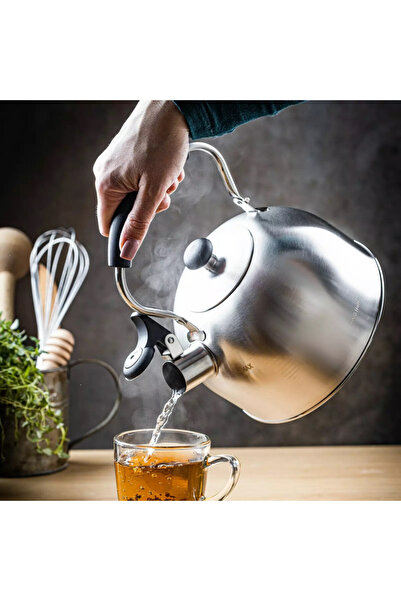 Kinghoff Whistling kettle KH 1859, 2.5 l, Induction, Wooden handle, Stainless steel