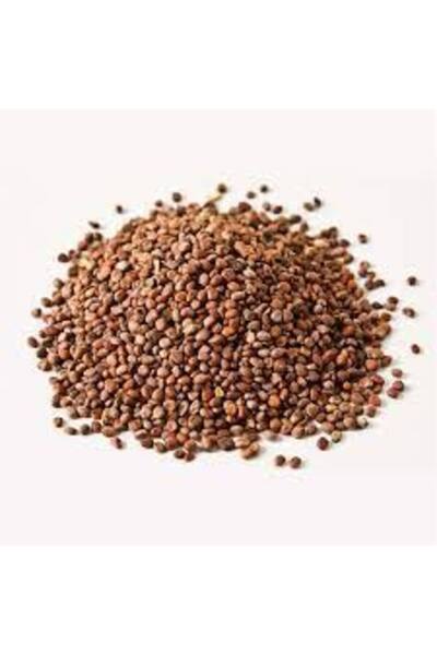 bitki diyarı Black radish seeds 200 gr