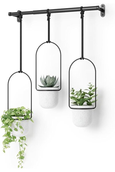 umbra Triflora Hanging Window Planters, Indoor Herb Garden, White/Black