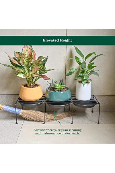 Ugaoo Metal Plant Stands, Set of 4, Rust-Proof Coating, Rectangular Black