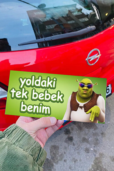 SARANG Shrek Yoldaki Tek Bebek Benim Araba Magnet Aksesuar