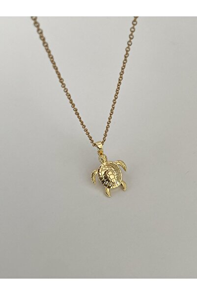 Capt Concept Çelik Kaplumbağa Kolye