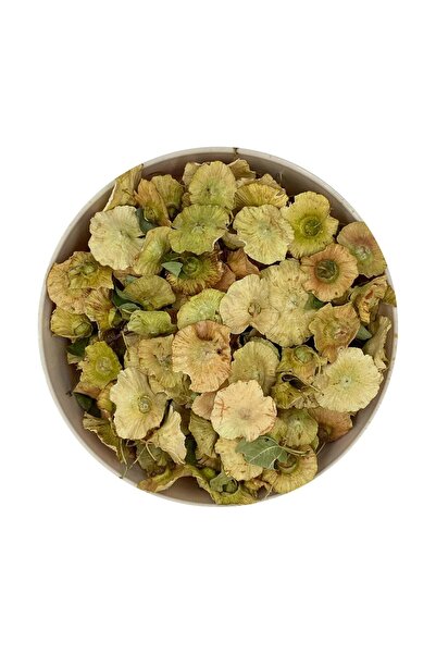 bitki diyarı شوك البرقوق 30 غرام