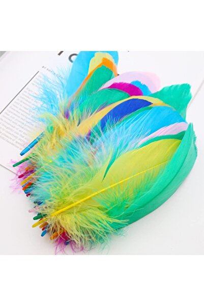 fulina 50PCS Natural Goose Feathers Decoration - Assorted Colorful for DIY, Festival Erikord(Color Mixed)