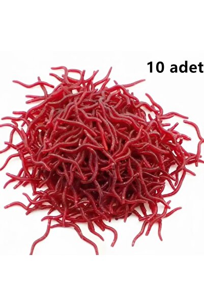 Heryerden 10 Adet Kokulu Silikon Balık Yemi Gerçek Görünümlü Suni Yapay Solucan Yem