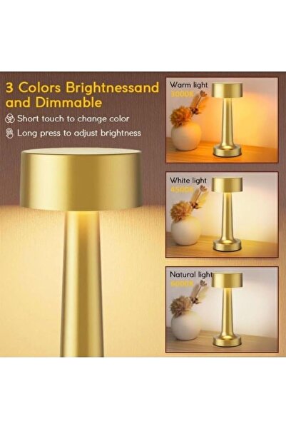 Casa care 3-Levels Brightness Metal Rechargable Portable LED Table Lamp, Gold