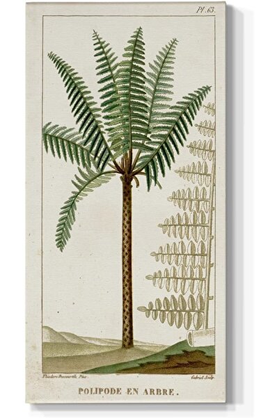 Emoda home Trove Turpin Green Palm Wall Art – Modern Botanical Canvas Paintin...