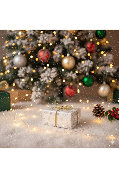 SaraTremo Christmas Packaging