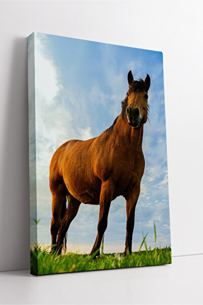 KOSS Dijital Pictură pe pânză cu cal maro în natură, artă de perete care adau...