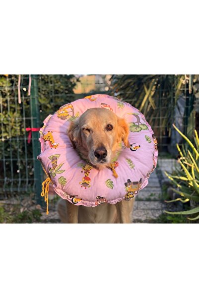 Petris 0.rta-Büyük.Irk Köpek Boyunluk-elizabeth Yakalık Operasyon Boyunluk-ke...