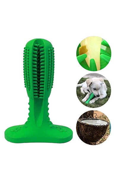 zola Dog teeth cleaning toy, 2 surfaces, strengthens gums, rubber, 10.3x4.2x14.6 cm, green