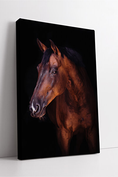 KOSS Dijital Pictură pe pânză cu portret de cal maro, opera de artă realistă ...