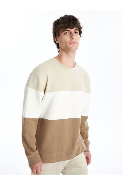 LC Waikiki Ανδρικό φούτερ με μακρυμάνικο χρώμα με λαιμόκοψη