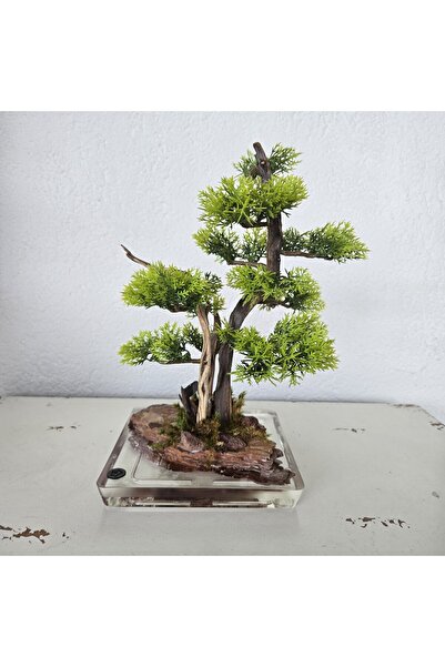 Decoroon El Yapımı Bonsai Dekor | Gerçek Ağaç Gövdesi & Şoklanmış Yosunlu Epo...