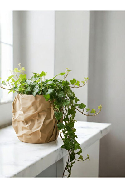 Velora Design Buruşuk Kağıt Görünümlü Saksı Kılıfı (Crinkle Tasarım)