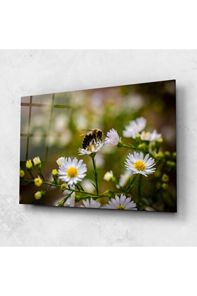 Arthub Glass Painting, Bedroom and Living Room, Daisies, Bee On Small Flower