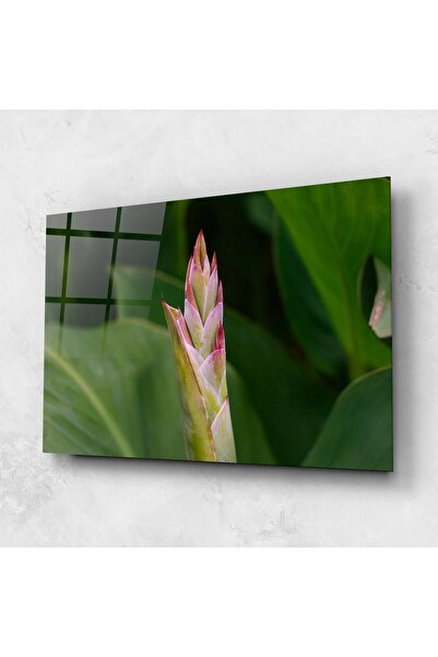 Arthub Tablou Sticla,Dormitor si Living, Flori Exotice, Light Pink Exotic