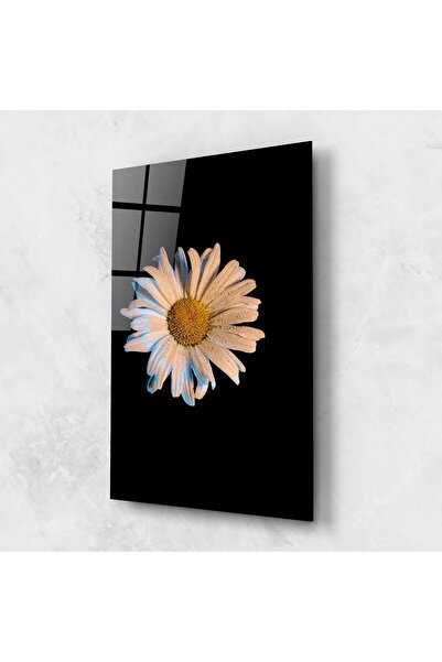 Arthub Glass Painting, Bedroom and Living Room, Daisies, Daisy