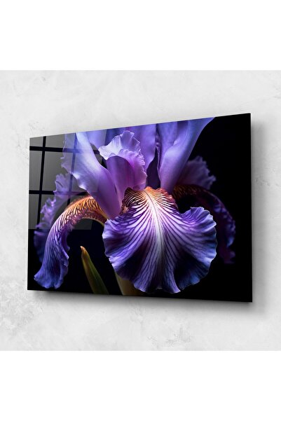Arthub Glass Painting, Bedroom and Living Room, Iris, Iris Beautiful Close Up
