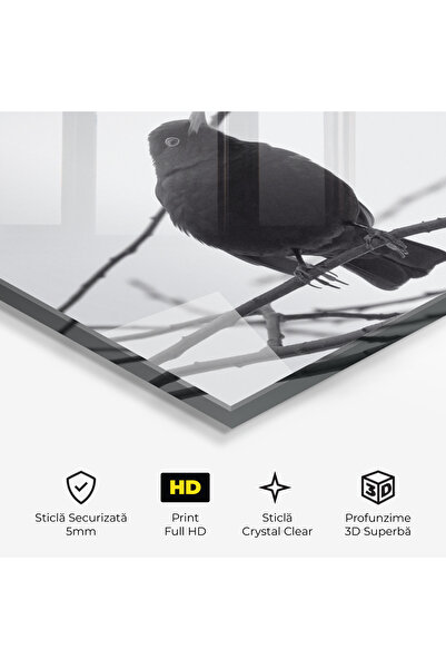 Arthub Glass Painting, Bedroom and Living Room, Black and White, Black Bird