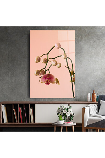 Arthub Glass Painting, Bedroom and Living Room, Orchids, Orchids On Pink