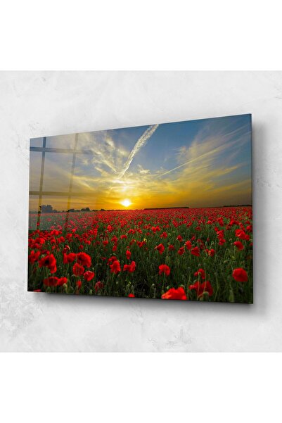 Arthub Tablou Sticla,Dormitor si Living, Maci, Poppies Sunset