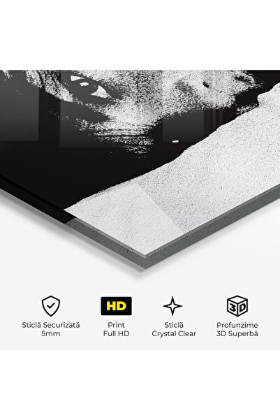 Arthub Glass Painting, Bedroom and Living Room, Black and White, Eye Contact