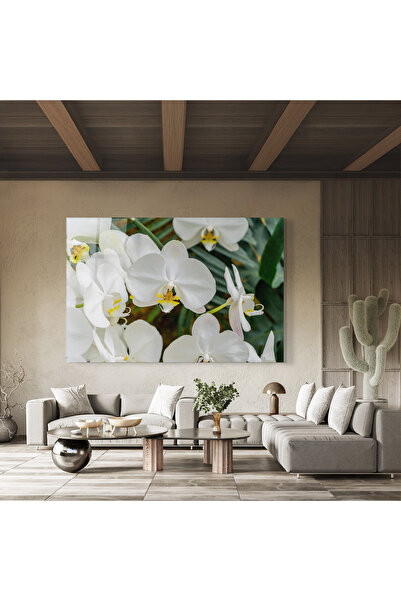 Arthub Glass Painting, Bedroom and Living Room, Orchids, Orchids In Nature