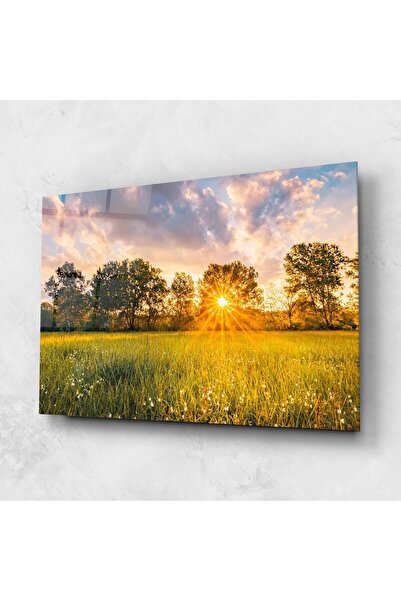 Arthub Glass Painting, Bedroom and Living Room, Summer, Blossoming Meadow