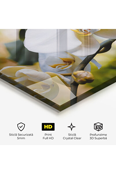 Arthub Glass Painting, Bedroom and Living Room, Orchid, Cream Orchid In Nature