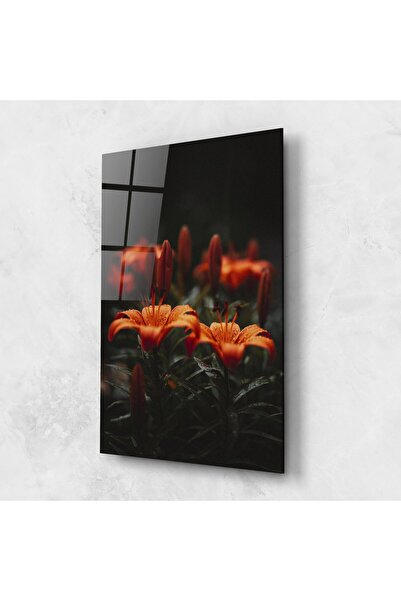 Arthub Tablou Sticla,Dormitor si Living, Flori In Natura, Dreamy Wild Flower