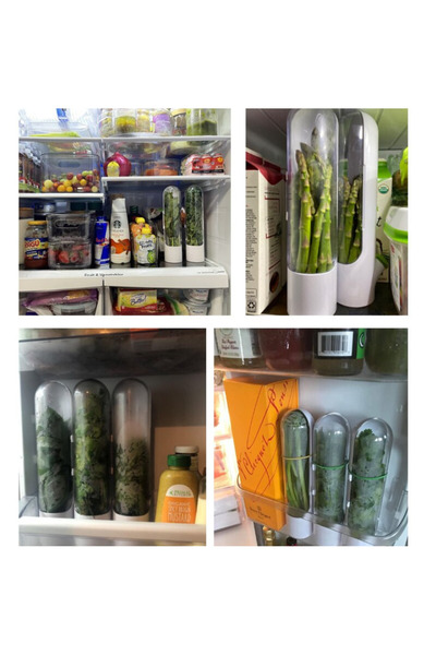 zola Container for keeping greens fresh, sealing effect, plastic and silicone, 25x6.5 cm, white