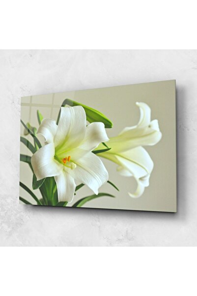 Arthub Tablou Sticla,Dormitor si Living, Crini, Green Lily