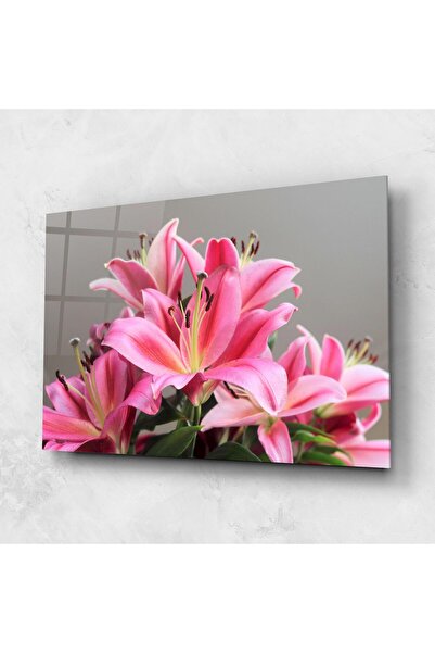 Arthub Tablou Sticla,Dormitor si Living, Crini, Light Pink Lily View