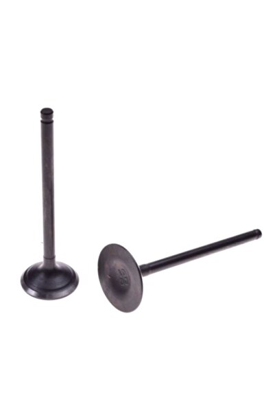 WM Βαλβίδα μοτοκρός 250cc Zongshen