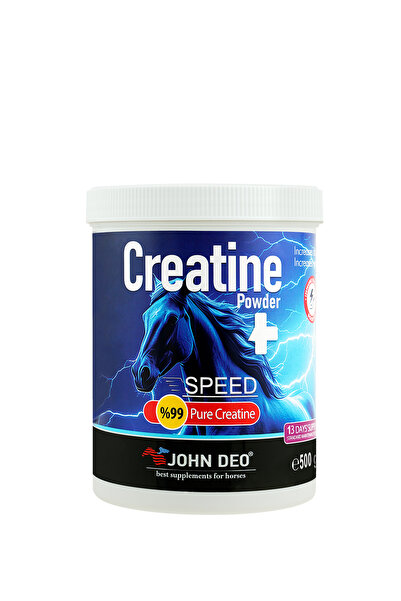 CREATİNE 500 gr