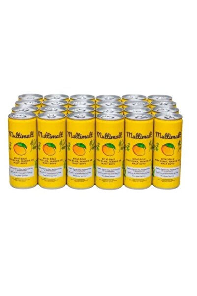 Multimalt Bitki Özlü %100 Elma,Mango Ve Malt Suyu 250 ml*24
