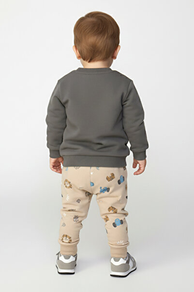 Dmb Baby Boy Set Little Lion