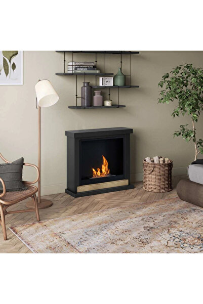 tagu Șemineu cu bioetanol Hagen Deep Black FreeFlame