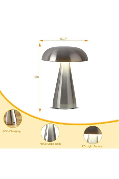 Beauenty LED Cordless Rechargeable Table Lamp, 3-Level Brightness, Silver