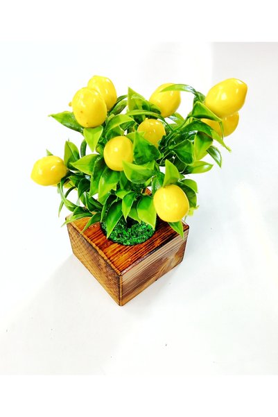 OSKARYUM Limon Ağacı Yapay Çiçek Yakma Saksı, Vernikli