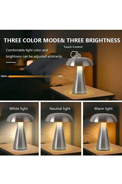 Beauenty LED Cordless Rechargeable Table Lamp, 3-Level Brightness, Silver