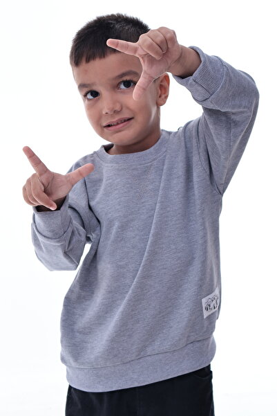 CQCQ Φούτερ για αγόρια σε γκρι χρώμα με 2 κλωστές, 100% βαμβάκι | 12 μηνών – ...