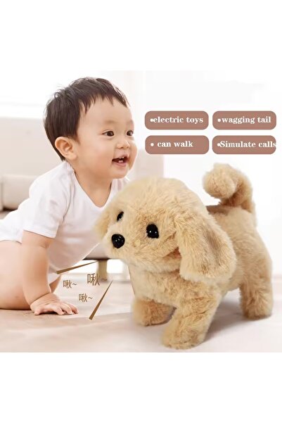 GenelTedarik Yürüyen Havlayan Kuyruğunu Sallayan Köpek