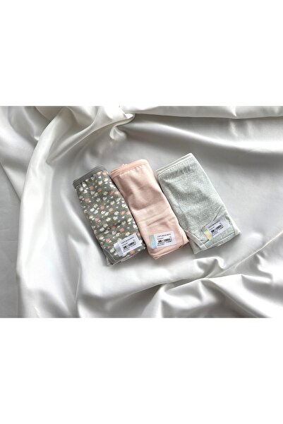 Berrak 11673 Pamuklu Yüksek Bel Karışık Kadın Külot 3'lü Paket