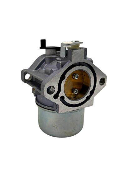 Aftermarket Briggs & Stratton Carburetor - Series 690111, 694526