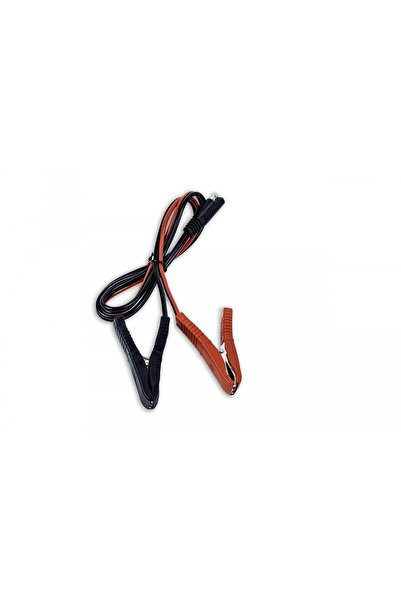 VOLT POLSKA VOLT 12V 20A rectifier for lithium batteries